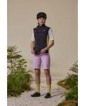 SeisM. Vest